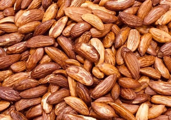 تصویر 5 از قیمت خرید مغز بادام مامایی + فروش ویژه